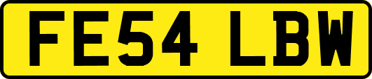 FE54LBW
