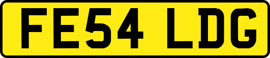 FE54LDG