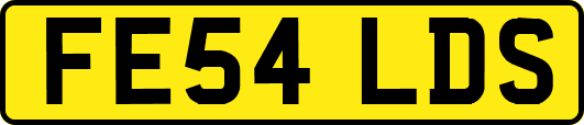 FE54LDS