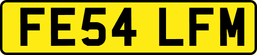 FE54LFM