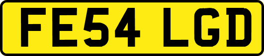 FE54LGD
