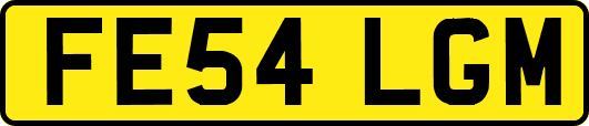 FE54LGM