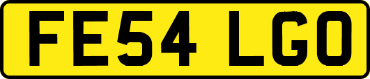 FE54LGO