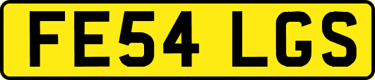 FE54LGS