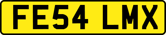 FE54LMX