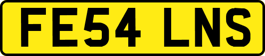 FE54LNS