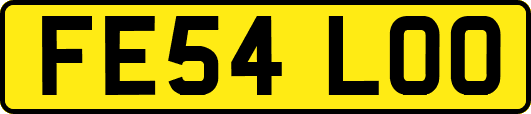 FE54LOO