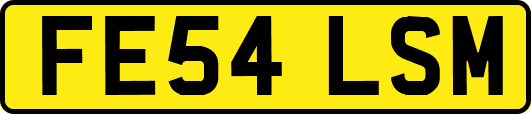 FE54LSM