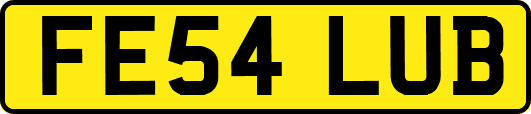 FE54LUB
