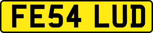 FE54LUD