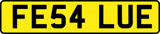 FE54LUE
