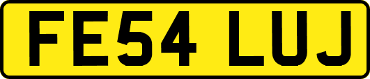 FE54LUJ