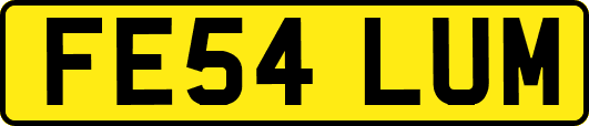 FE54LUM