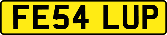 FE54LUP