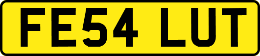 FE54LUT