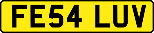 FE54LUV