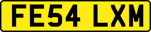 FE54LXM