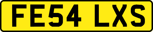FE54LXS