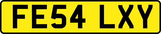 FE54LXY