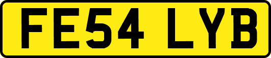 FE54LYB
