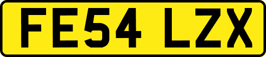 FE54LZX