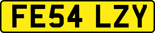 FE54LZY