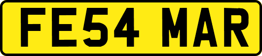 FE54MAR