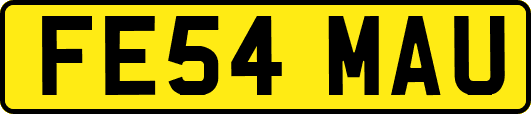 FE54MAU