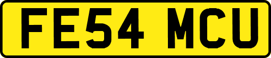 FE54MCU