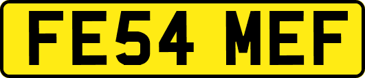 FE54MEF