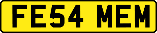 FE54MEM