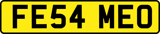 FE54MEO