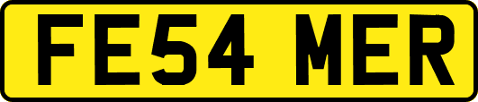 FE54MER