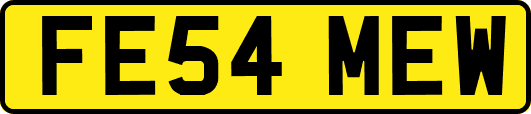 FE54MEW