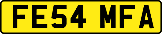 FE54MFA