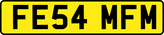 FE54MFM