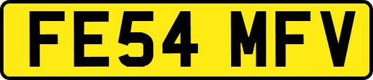 FE54MFV