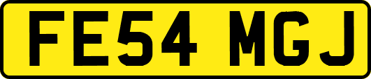 FE54MGJ