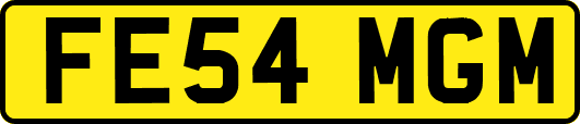 FE54MGM