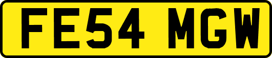FE54MGW