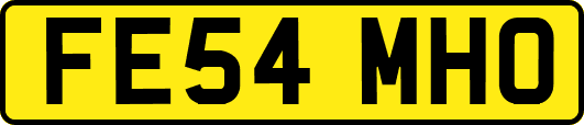 FE54MHO
