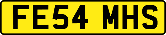FE54MHS