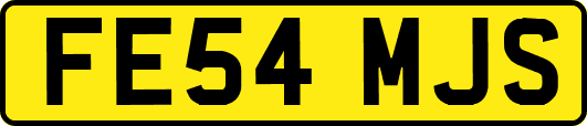 FE54MJS