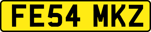 FE54MKZ