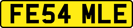 FE54MLE