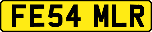 FE54MLR
