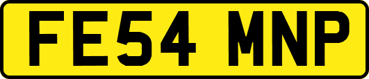 FE54MNP