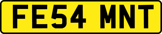 FE54MNT