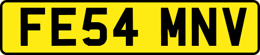 FE54MNV