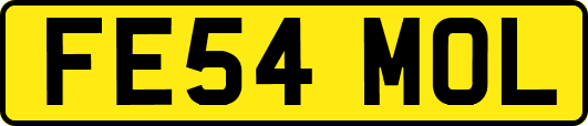 FE54MOL